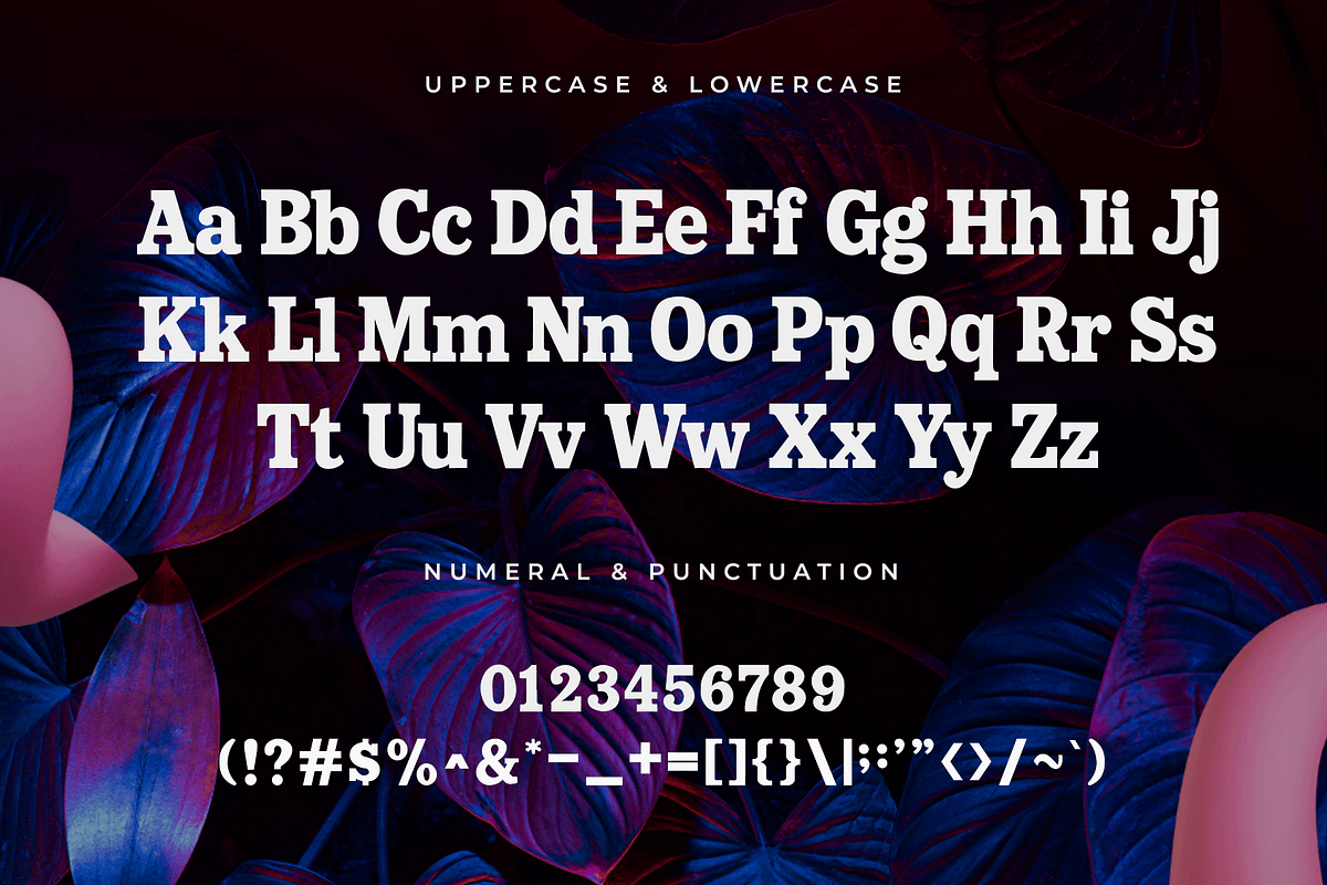 Butterfly – Modern Serif Font, a Serif Font by overlaytemplates (Photo 4 of 5)