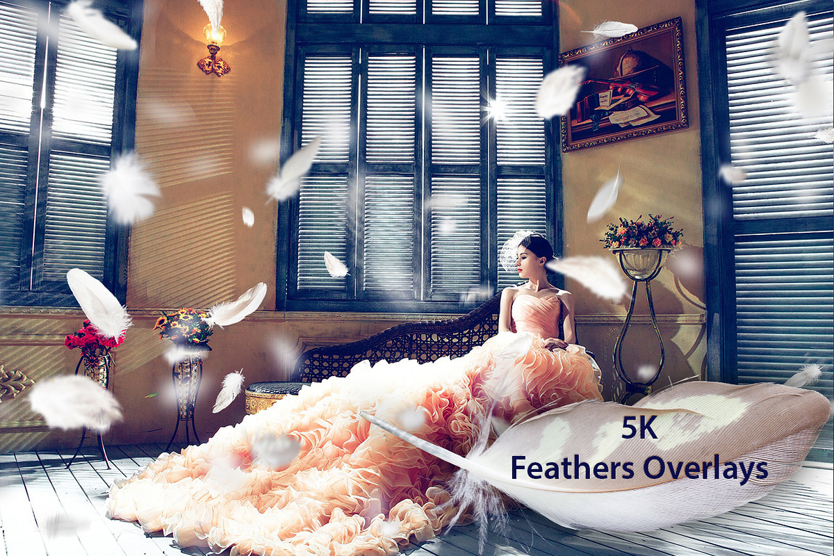 5K Feathers Overlays, an Object Graphic by ArtPlanet (Photo 1 of 7)
