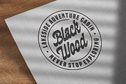 BLACK WOOD - Modern Classic Script, a Script Font by Havinkpen (Thumbnail 2 of 9)