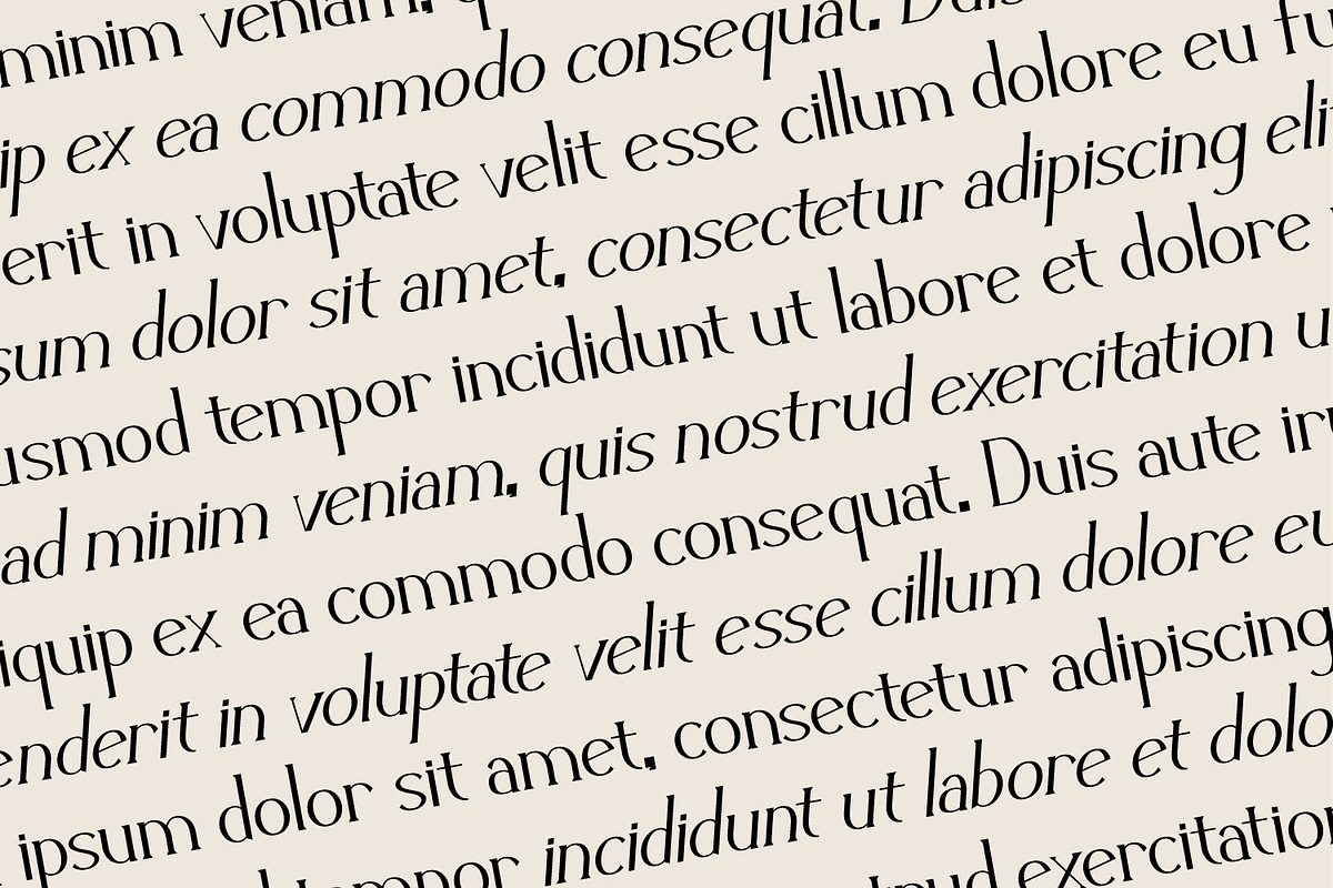 Zelvian - Modern Serif Font, a Serif Font by Rishsketch (Photo 9 of 15)