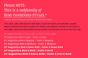 DT Augustina Slab 2 Subfamily, a Slab Serif Font by Deveze Type Foundry (Thumbnail 2 of 30)