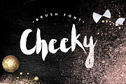 Cheeky--handwritten brush font+BONUS, a Script Font by CreativeFolks (Thumbnail 1 of 15)