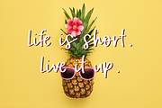Tropical Trail Script, a Script Font by Beck McCormick (Thumbnail 3 of 10)