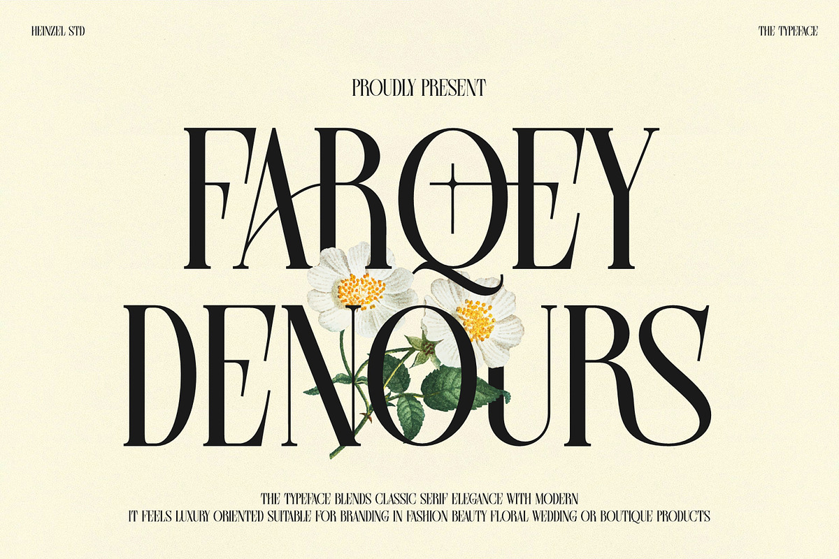 Farqey Denours Serif Font, a Serif Font by Heinzel Std (Photo 1 of 19)