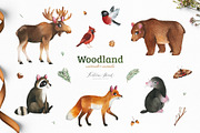 Woodland. Cute forest collection., an Animal Illustration by Kate_Rina (Thumbnail 3 of 15)
