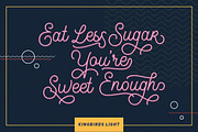Kingbirds - 6 Styles Monoline Script, a Script Font by Letterhend Studio (Thumbnail 5 of 9)