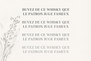 Denish Sans & Serif Duo Font Family, a Serif Font by Creativetacos (Thumbnail 4 of 12)