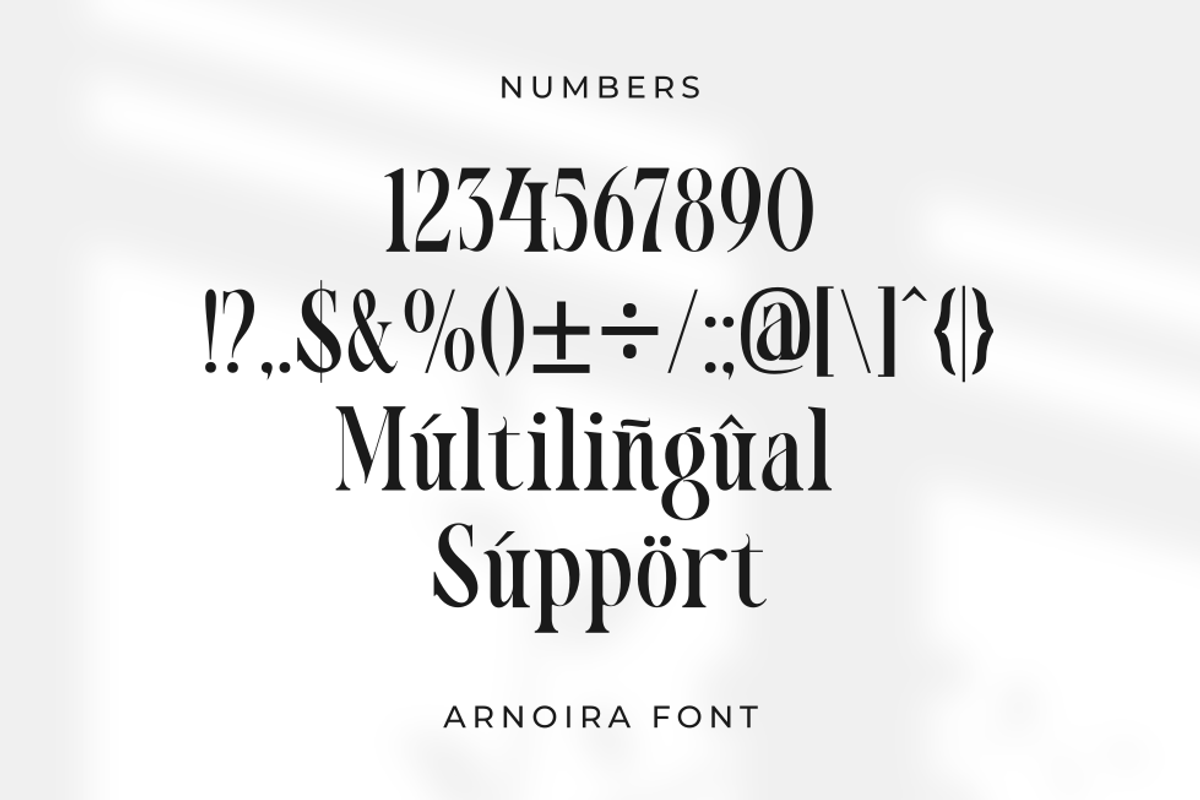 Arnoira, a Serif Font by Rahagita Studio (Photo 10 of 11)