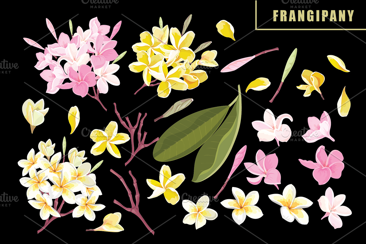 53 Floral brushes for Illustrator preview 2