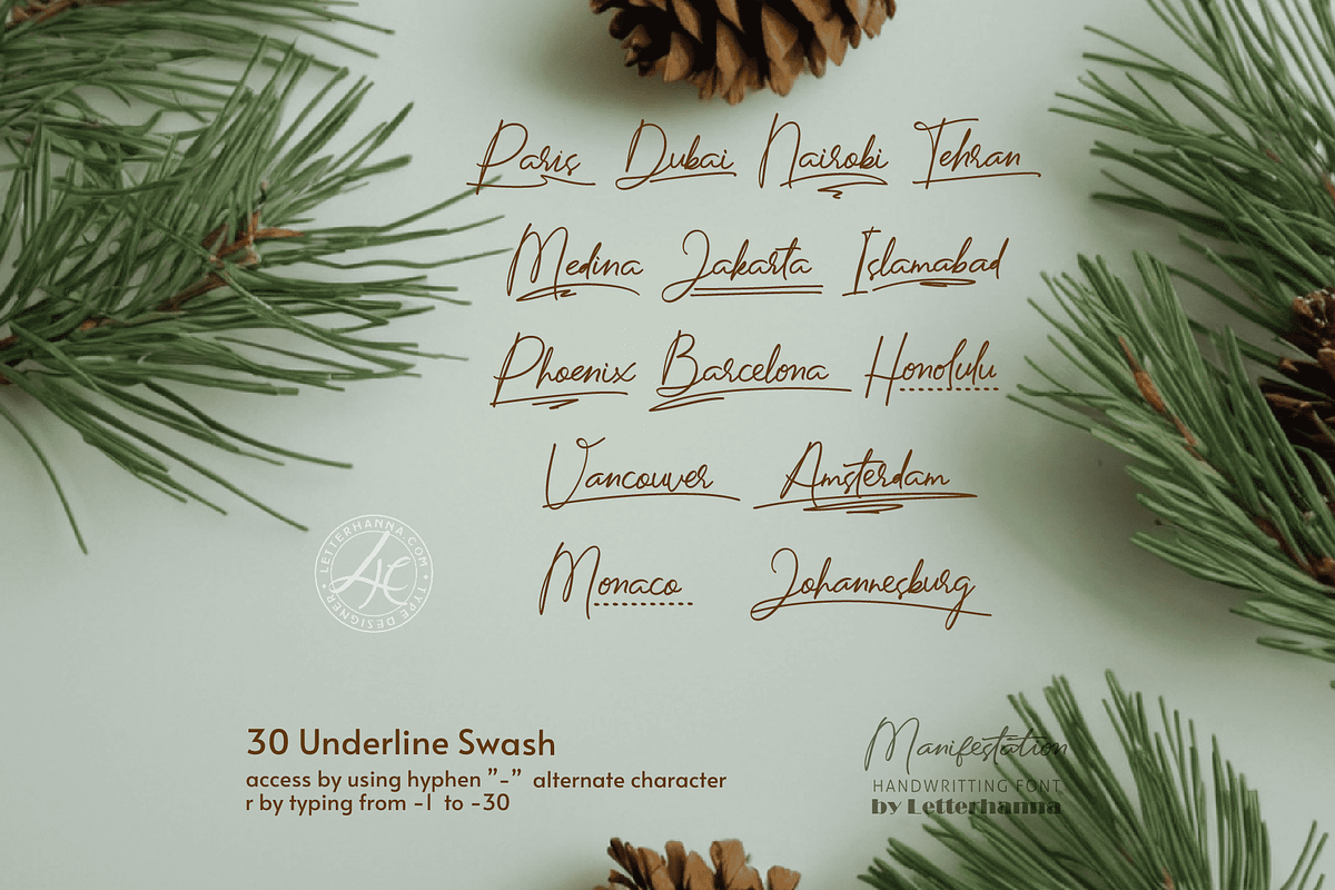 Manifestation, a Handwritten Font by Letterhanna Studio (Photo 3 of 15)