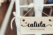 Disney, a Script Font by DN Creative (Thumbnail 2 of 7)