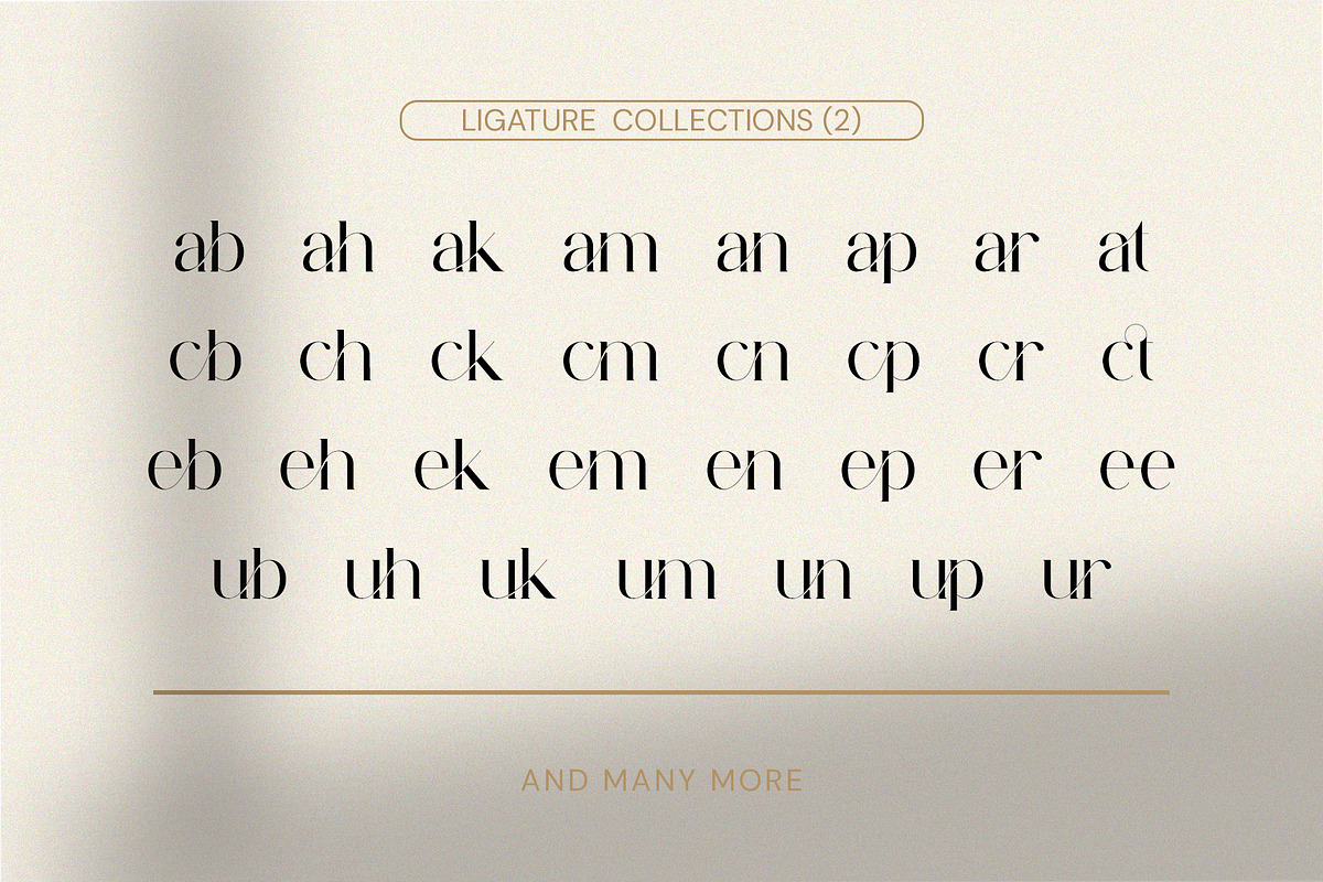 Baginda - Modern Ligature Typeface, a Serif Font by BOOSH Studio (Photo 11 of 14)