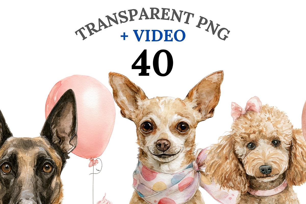 40 Birthday Dog Clipart PNGs, an Animal Illustration by Pati Charm Studio (Photo 1 of 9)