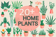 20+ icons of home plants in pots, a Solid Icon by ОльгаМороз (Thumbnail 1 of 14)