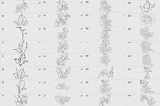 Procreate flower stamp, a Brush Add-On by AnnaPolitmerskaja (Thumbnail 3 of 4)