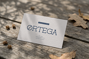 Corina Elegant | Modern Slab Serif, a Slab Serif Font by gracetype_studio (Thumbnail 8 of 12)