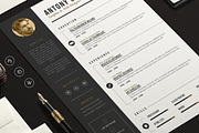 Pro Resume, a Resume Template by sz81 (Thumbnail 1 of 4)