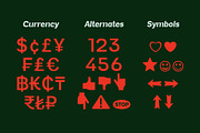 Vynce Sans Picturesque Family, a Sans Serif Font by Lettertype Studio (Thumbnail 12 of 15)