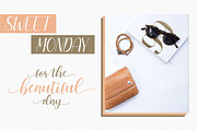 Cattalina - Beauty Font, a Script Font by Good Java Studio (Thumbnail 9 of 9)