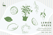 Italian Summer Collection | 100+, a Food Illustration by Karma (Thumbnail 17 of 19)