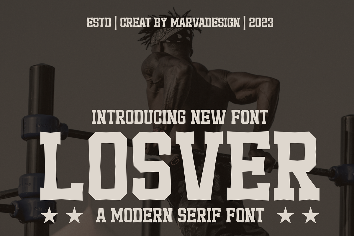 Losver - A Modern Serif, a Serif Font by Marvadesign (Photo 1 of 7)