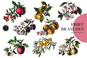 Natural food BUNDLE, a Food Illustration by handsketched (Thumbnail 8 of 26)
