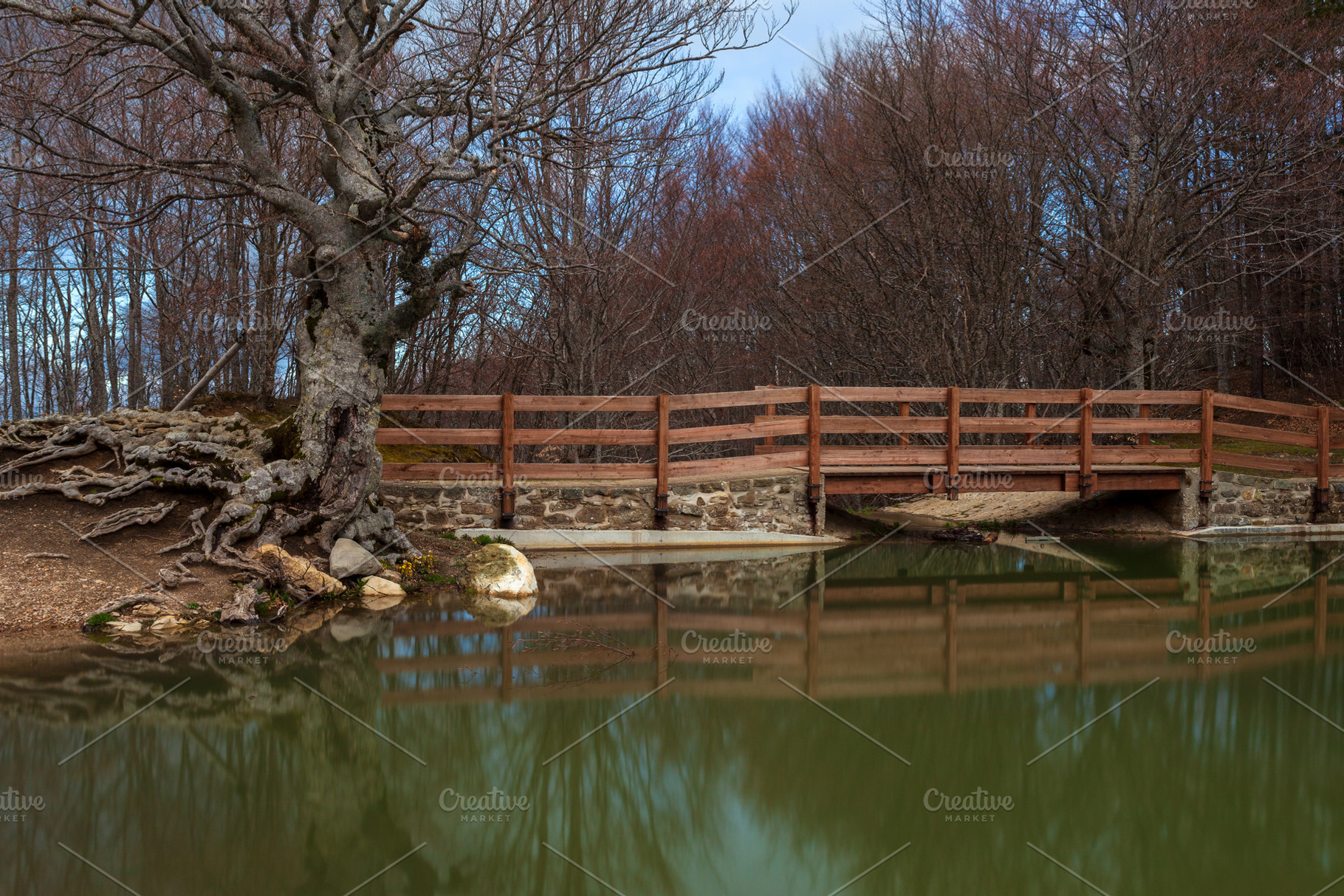 Panorama of the Calamone lake in Reggio Emilia, Italy, a Nature Photo by Bepslabor