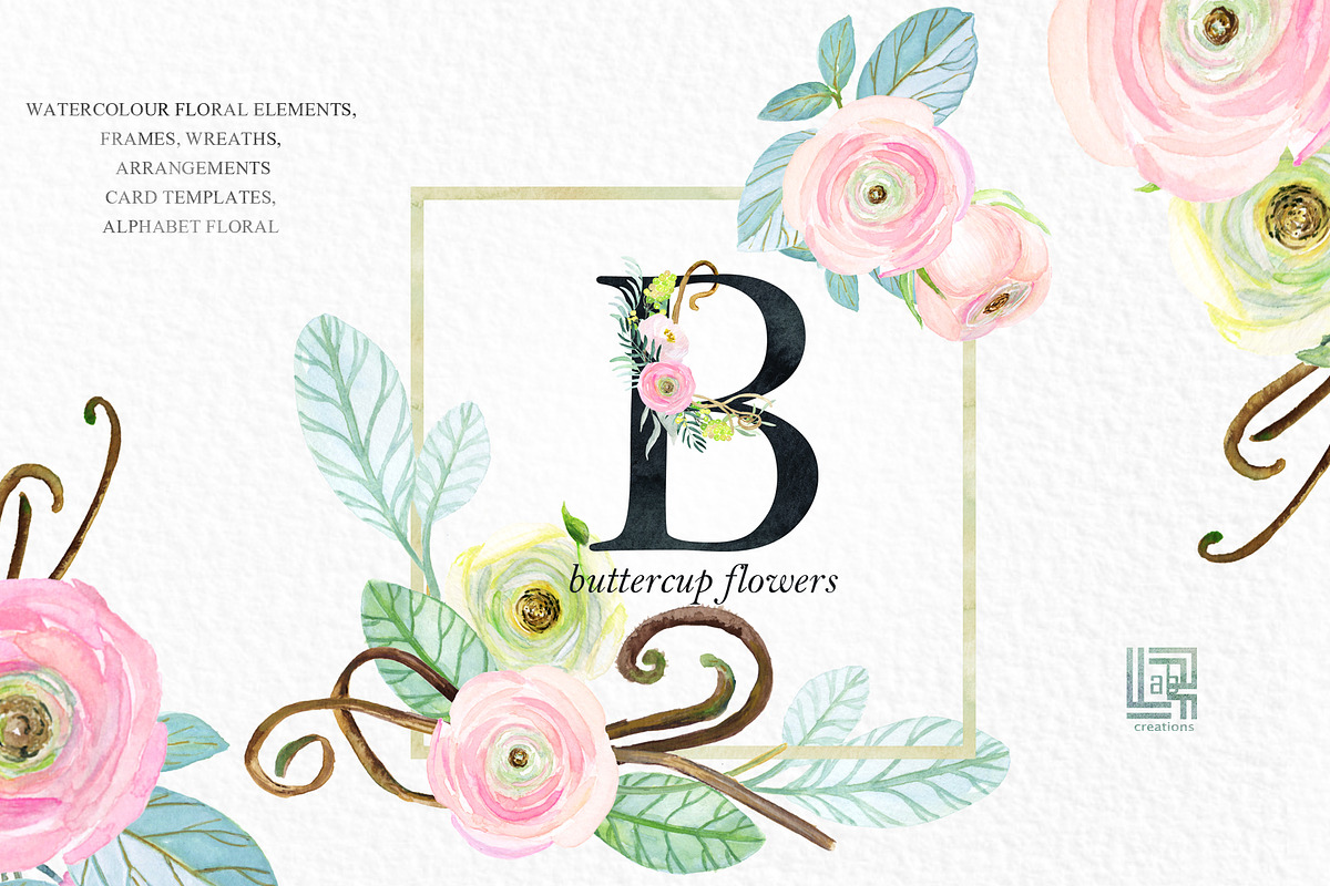 -50% Off Buttercups. Ranunculus pink, an Illustration by LABFcreations (Photo 11 of 12)
