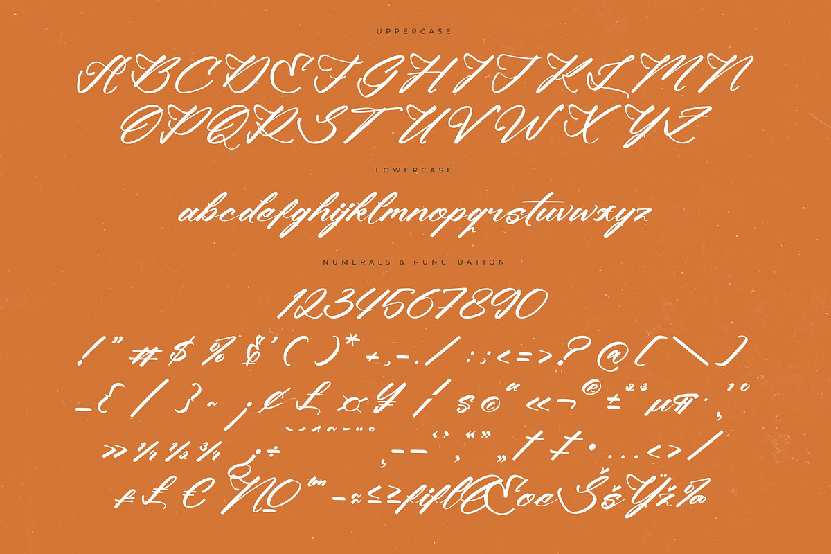 Climbing Nature Modern Calligraphy, a Script Font by Letterena Studios Script (Photo 13 of 15)