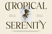 Kiprhany Modern Serif Font, a Serif Font by Letterena Studios (Thumbnail 5 of 15)