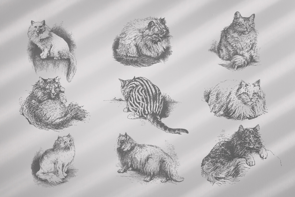 Vintage Bundle 2500+ Free Update, an Animal Illustration by Retro Machine (Photo 74 of 170)
