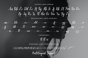 daydream - a lovely script font, a Script Font by NendesKombet Studio (Thumbnail 5 of 5)
