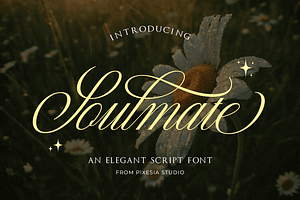 Soulmate - Modern Cursive Script