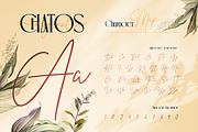 Chatos Original, a Serif Font by Burntilldead (Thumbnail 6 of 11)