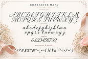 Velvet Letters - Modern Script Font, a Script Font by overlaytemplates (Thumbnail 4 of 5)