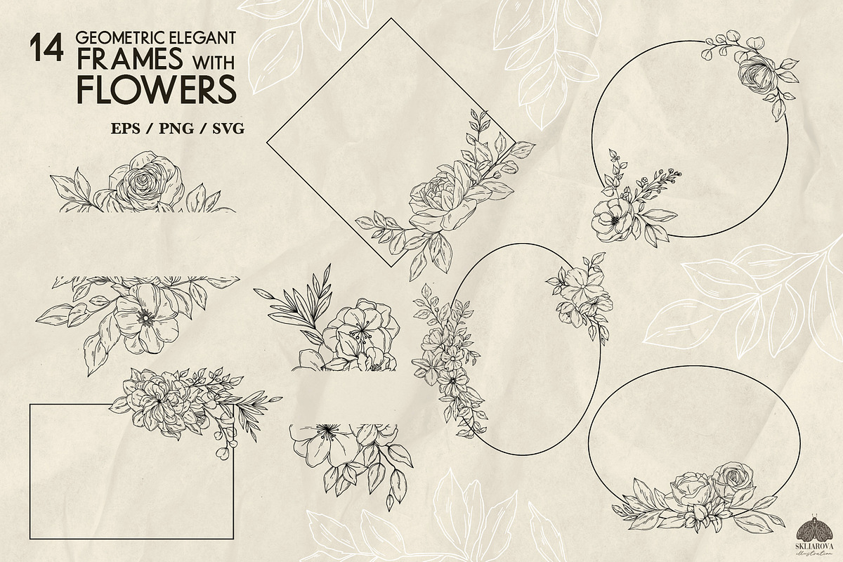 Botany Line Art Collection, a Decorative Illustration by Skliarova (Photo 7 of 10)