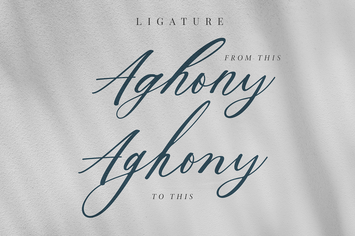 Aghony - Beauty Script preview 3