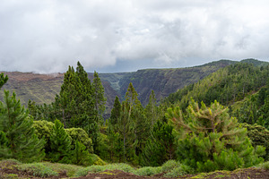 Verdant canyon landscape of Nuku Hiva in the Marquesas Islands,, a Nature Photo by GoodGoods