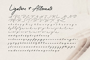 Paradine - Ligature Handwritten Font, a Handwritten Font by Sarid Ezra (Thumbnail 10 of 12)