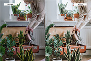 Lightroom Presets Home & Interiors, an Action Add-On by Best Lightroom Presets (Thumbnail 14 of 19)