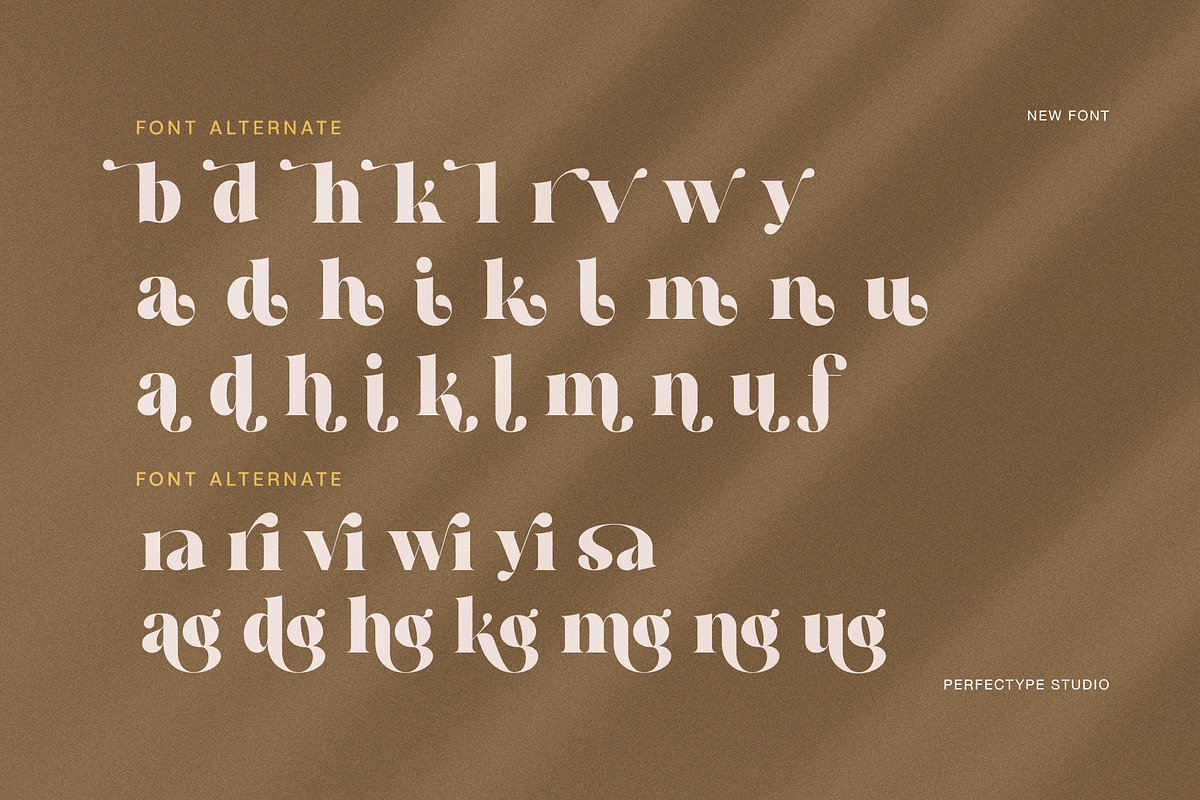 Kyrang Elegant Serif Font, a Serif Font by Perfectype (Photo 8 of 8)