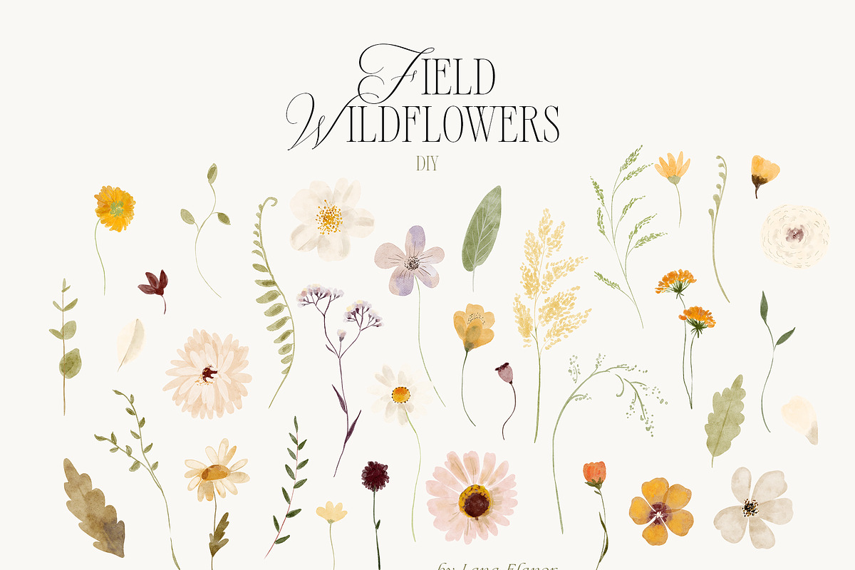 FIELD WILDFLOWERS watercolor, a Decorative Illustration by Lana Elanor (Photo 8 of 12)