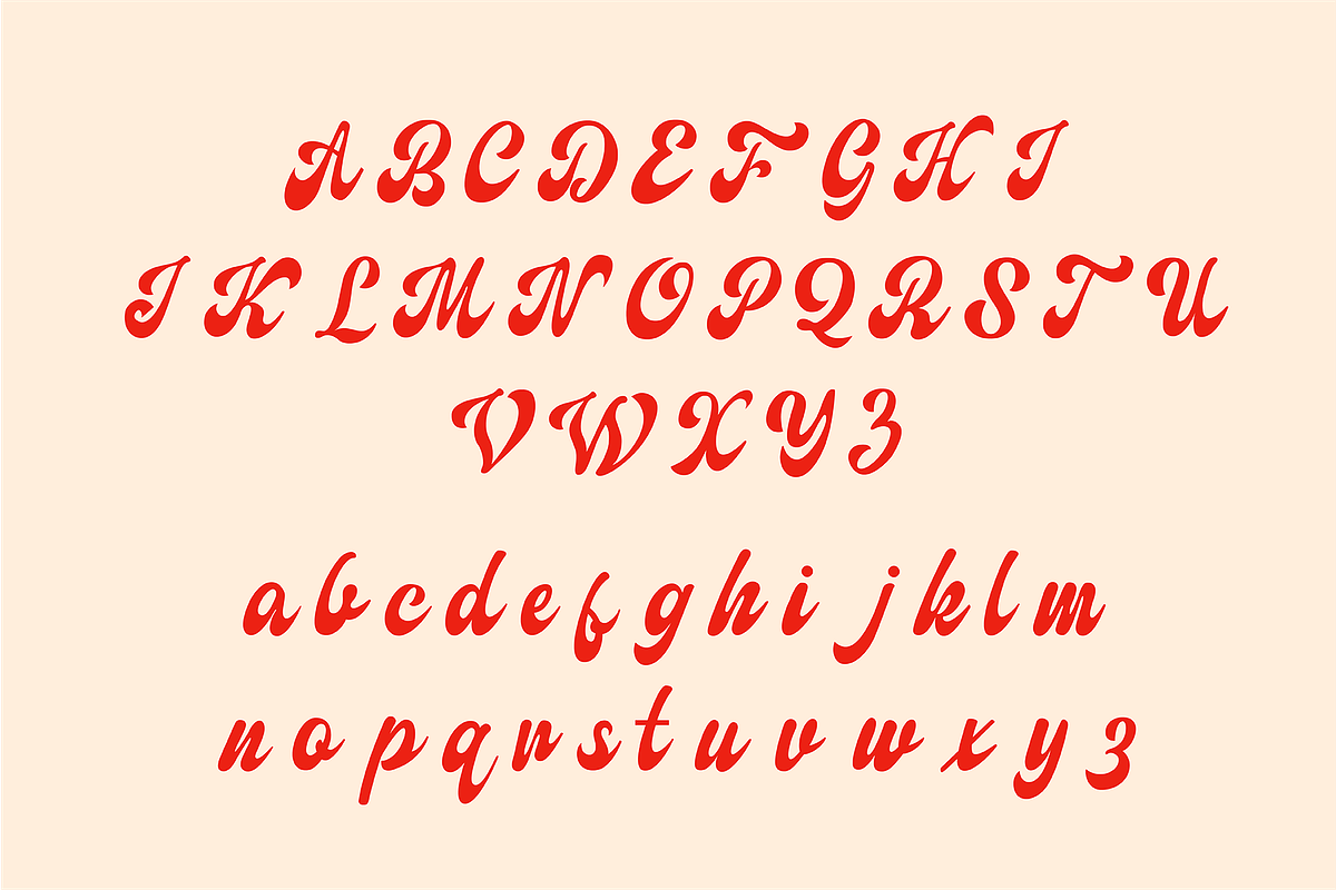 Abakayla Script, a Script Font by Authentic Studio (Photo 8 of 9)