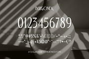 Bargonde | Elegant Serif Condensed, a Serif Font by Hole Hope Design (Thumbnail 7 of 20)