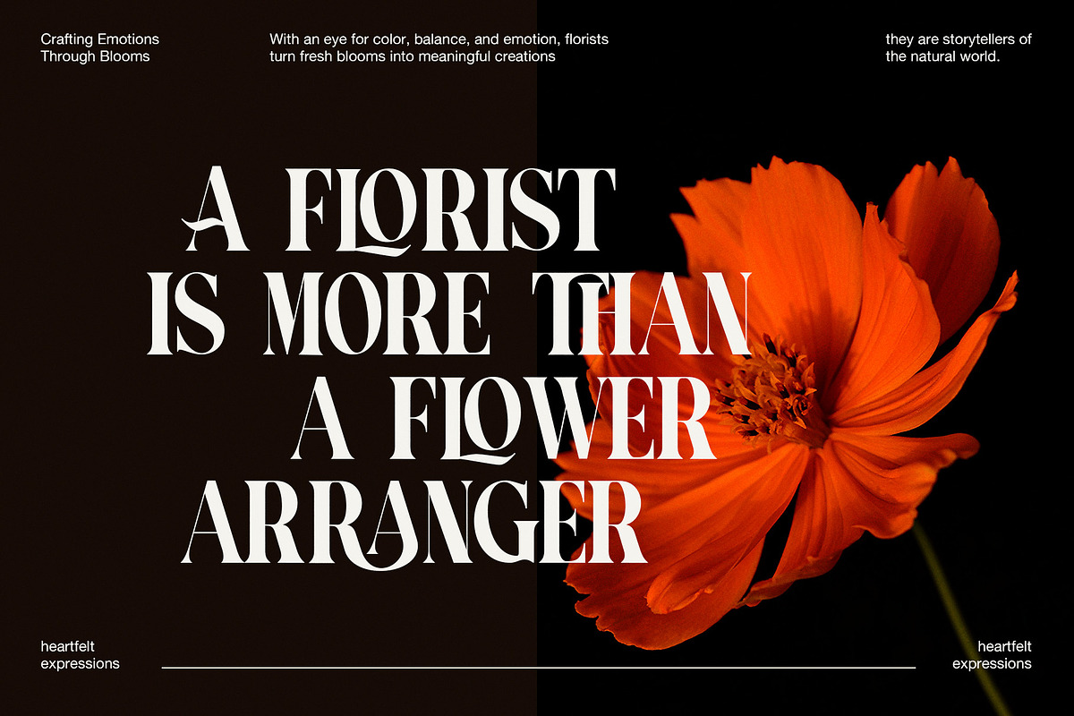 Armio Elegant Serif Font, a Serif Font by Perfectype (Photo 2 of 8)