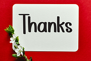 Ballpoint Signature, a Script Font by FreshTypeINK (Thumbnail 6 of 8)