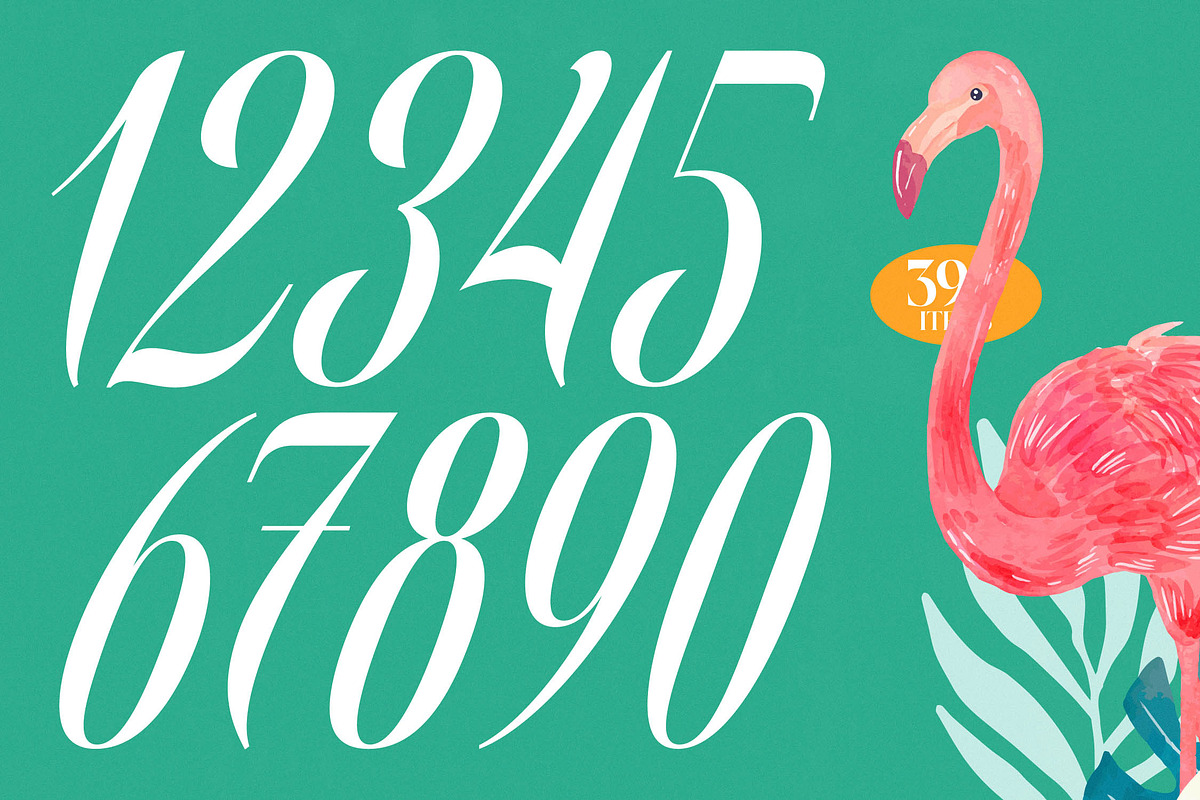 Berishye Elegant Script Font, a Script Font by timelesstype.co (Photo 8 of 20)