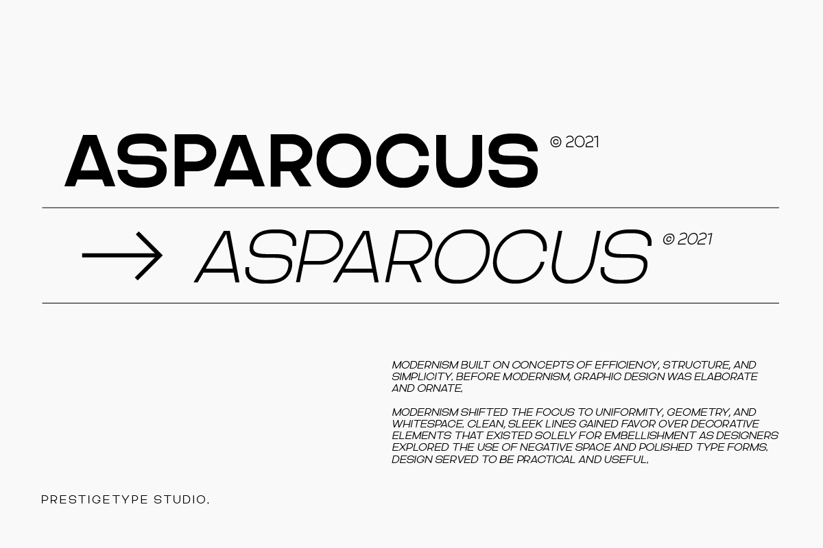 Asparocus Modern Font Duo, a Sans Serif Font by Prestigetype (Photo 4 of 10)