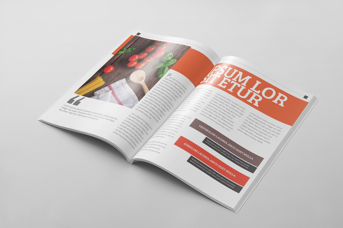 Magazine Template 63, a Magazine Template by pmvch (Photo 11 of 11)