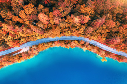 Aerial view of road near blue lake, red forest in autumn, a Nature Photo by den-belitsky